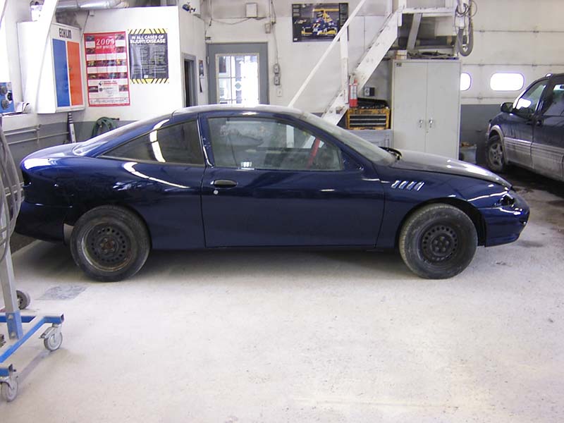 indigo blue cavalier